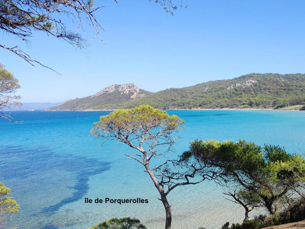 Rez-De-Villa Proche De La Mer - Villa Temana Saint-Cyr-sur-Mer Eksteriør billede